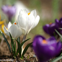 高楼火灾怎么办