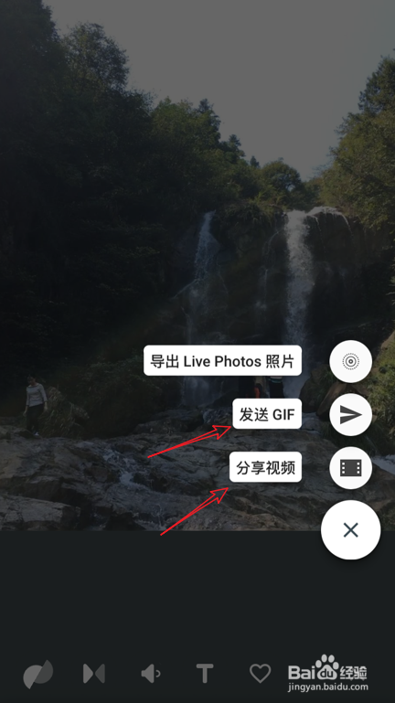 iPhone live photo怎么转成gif动图 转成mp4视频