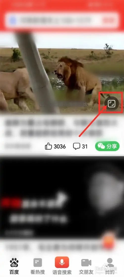百度大字版如何下载视频到相册