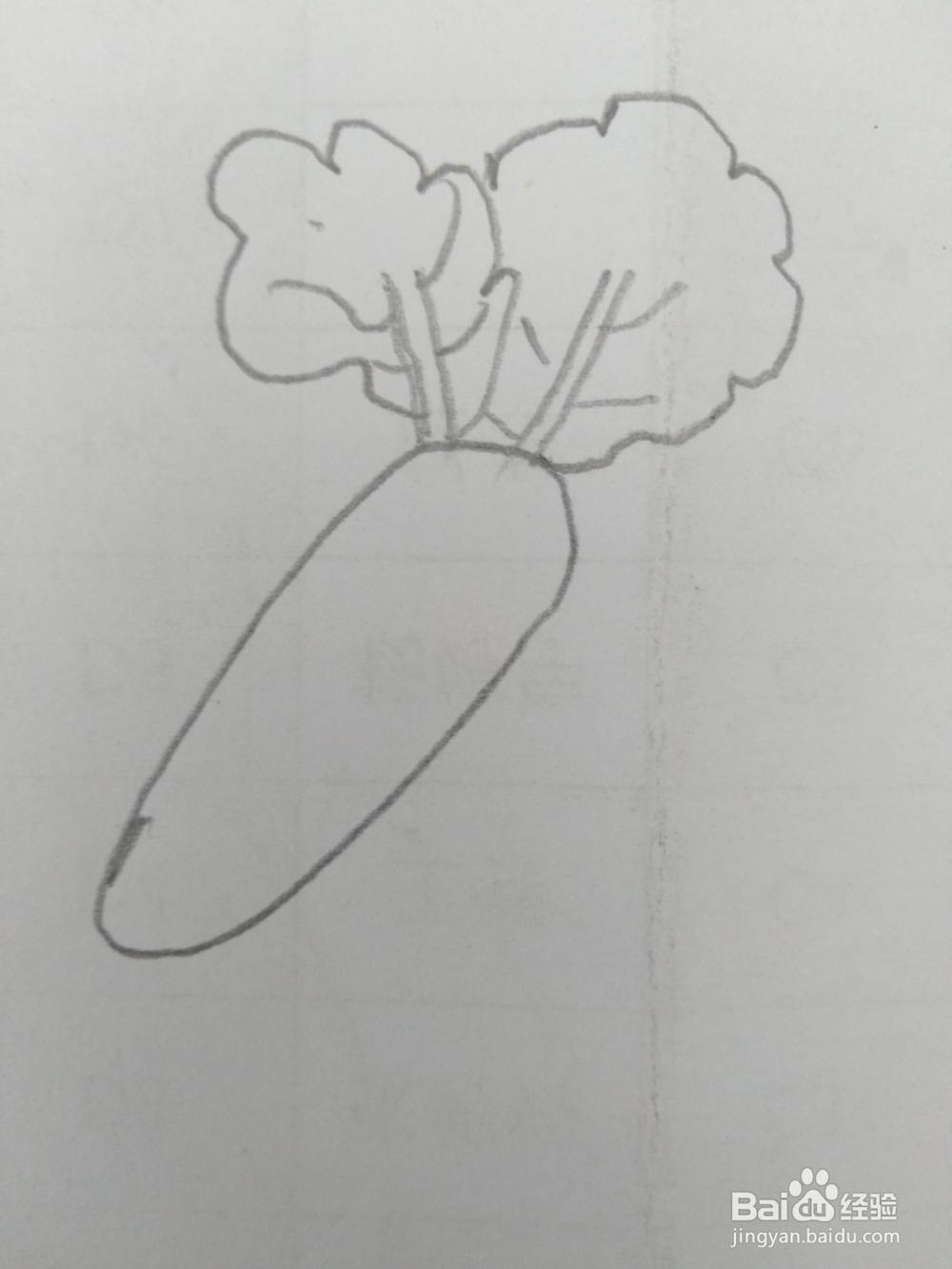 简笔画胡萝卜画法五