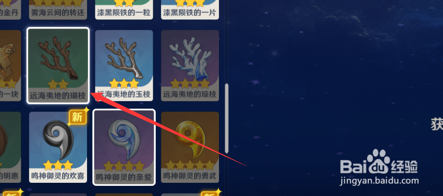 原神中如何查看远海夷地的瑚枝物品的解说