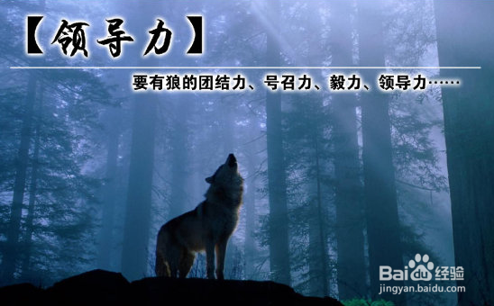 2018年该如何提高自己的领导力??