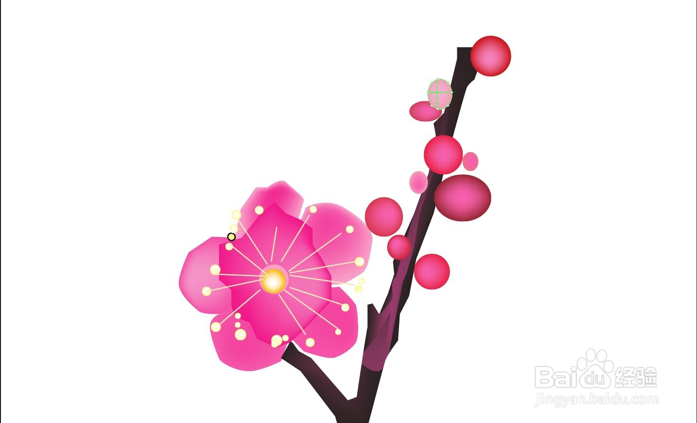 如何描写梅花的外形