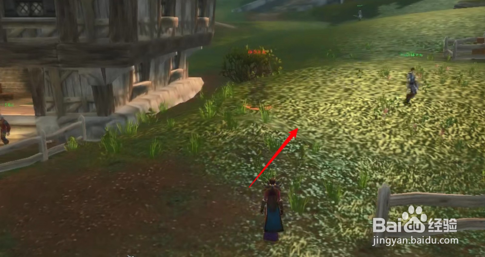 刺客的契约任务怎么接