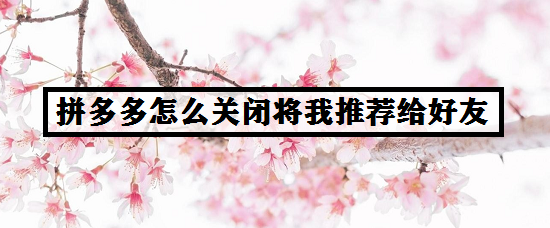 拼多多怎么关闭将我推荐给好友