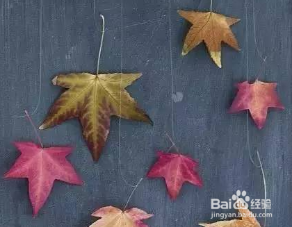 树叶风铃制作步骤