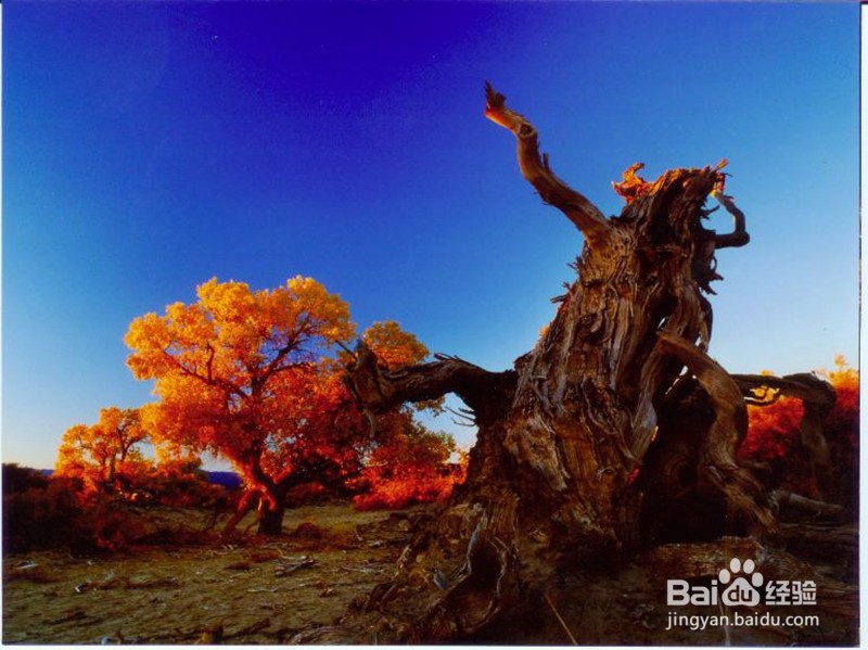 已知绝对值方程(x+15)+(x+12)=5,求x的值的方法