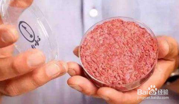 关于人造肉这些你知道吗,人造肉真的可行吗