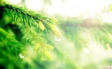 惊蛰时节如何养生