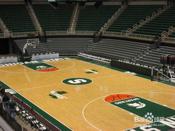 枫木和柞木运动地板的区别