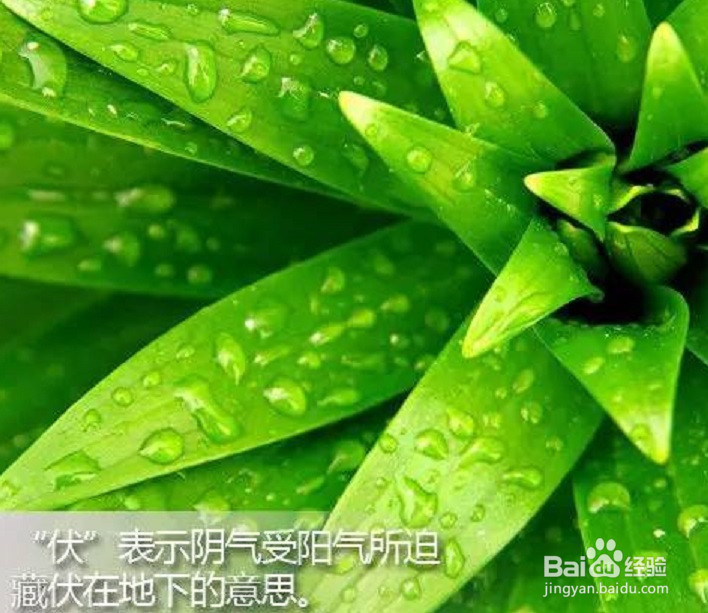 三伏天如何注意事项