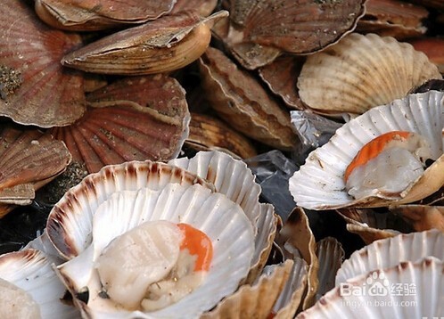 夏秋季节怎样吃贝类比较安全？