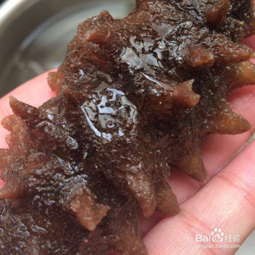 即食海参冷藏还是冷冻