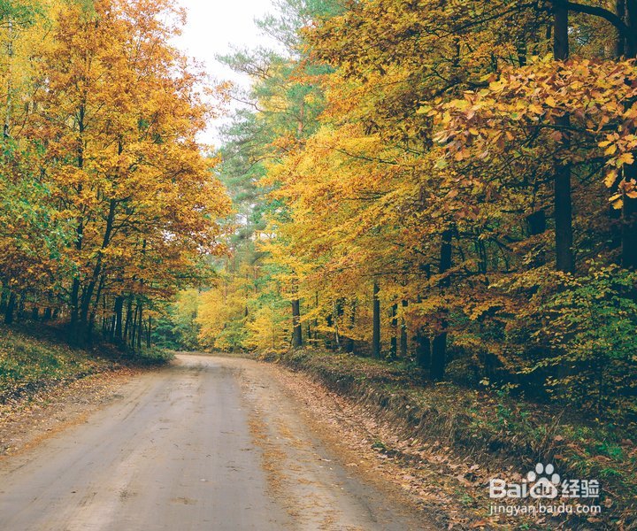 凉山森林火灾，我们以后遇到该怎么办？