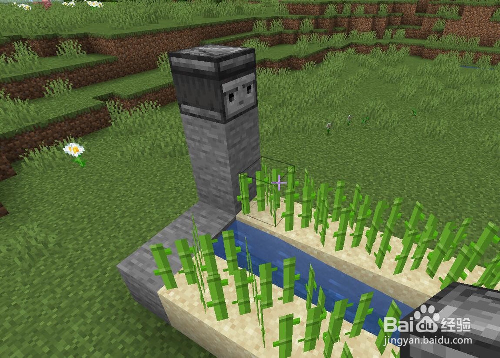 我的世界怎么做自动甘蔗收割机