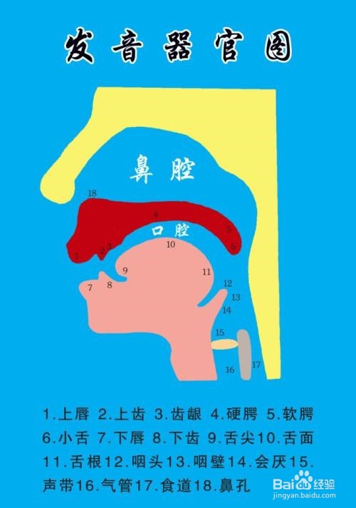 n和l的发音的窍门