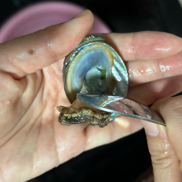 快手冷泡杏鲍菇小鲍鱼