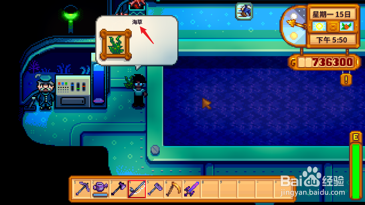 星露谷物语海草在哪获得