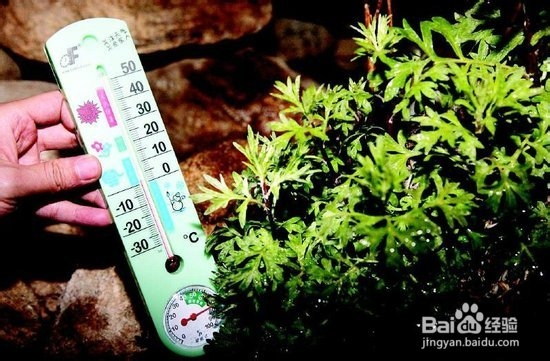盐城到张家界自驾游
