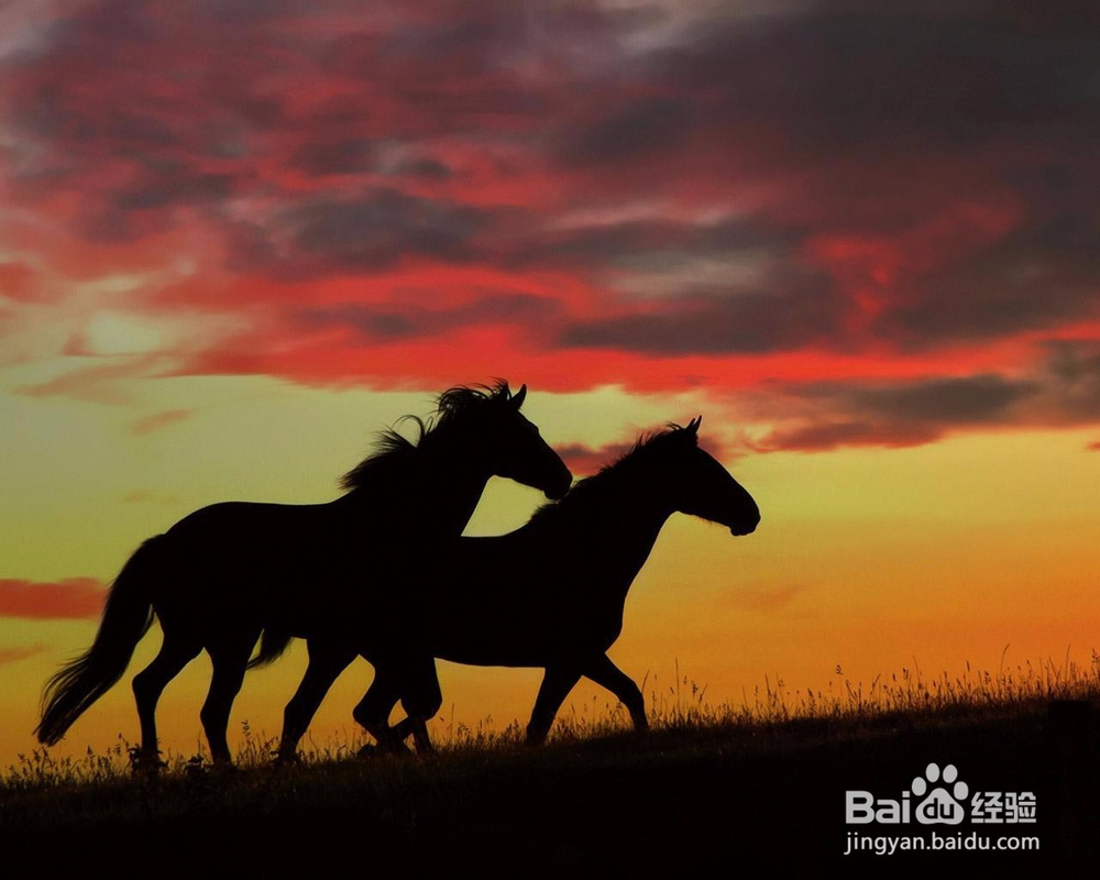 如何在寒暑假高效的补习功课