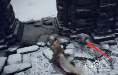 艾尔登法环怎么获得萨米尔冰风暴