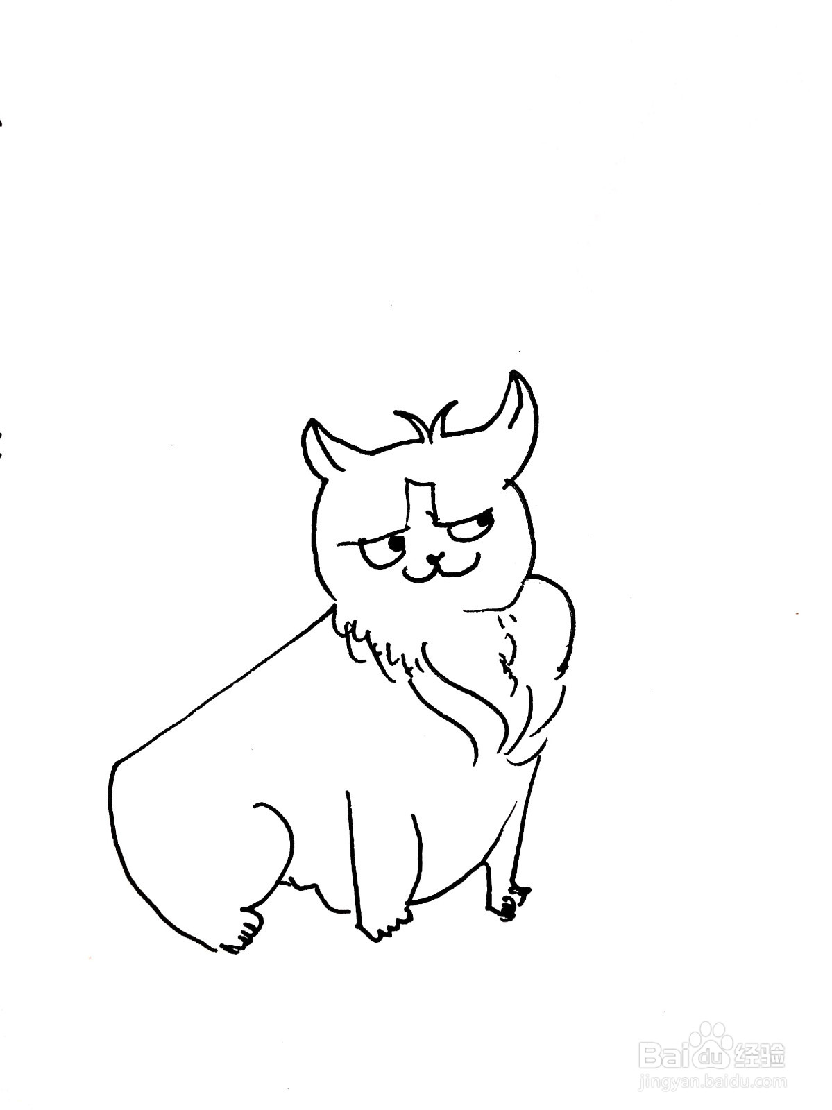 狸猫线描画怎么画