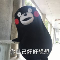 新手小白如何靠运营公众号养活自己