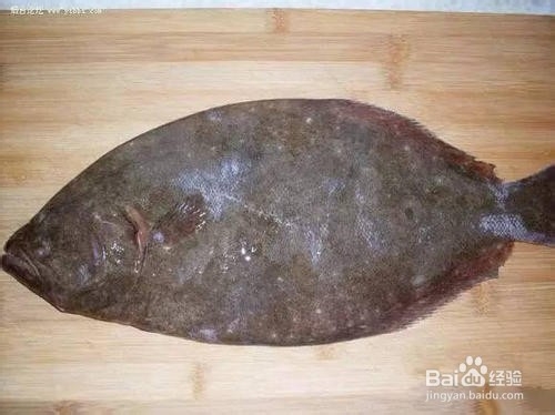 钓牙片鱼的技巧