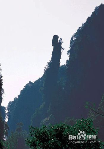 张家界冬天旅游攻略