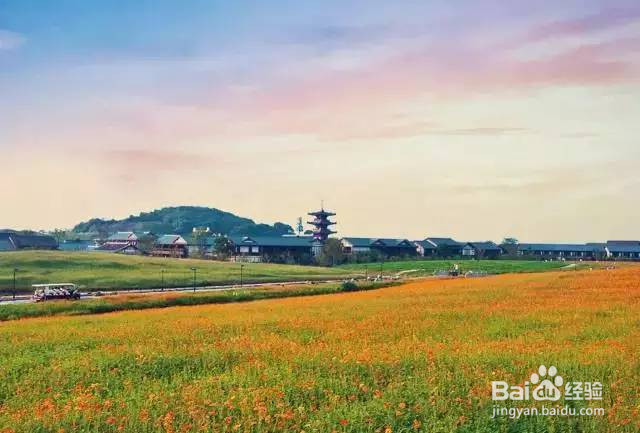 无锡灵山拈花湾一日旅游攻略
