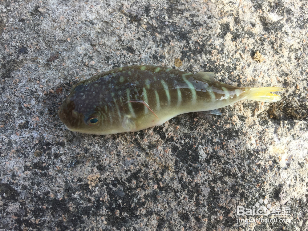 沙滩上寻找乐趣