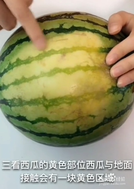 如何挑选西瓜？