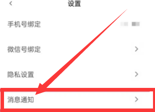 青藤之恋如何开启动态消息？