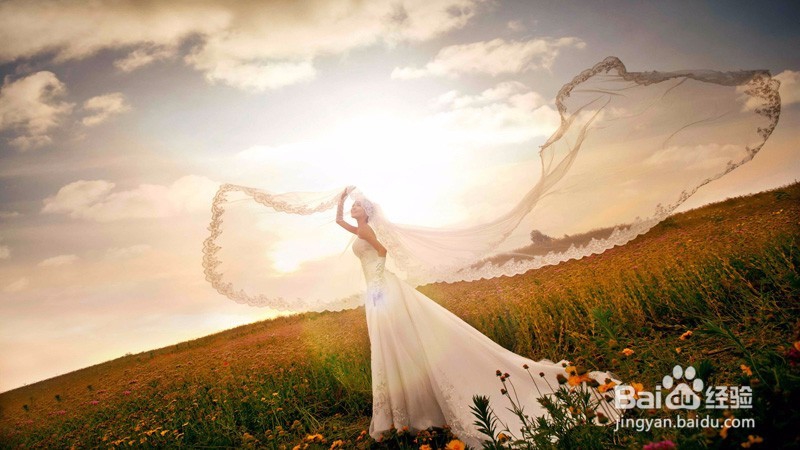 北京五大唯美花海婚纱照