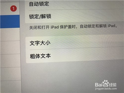 如何让ipad文本变粗字体变大呢