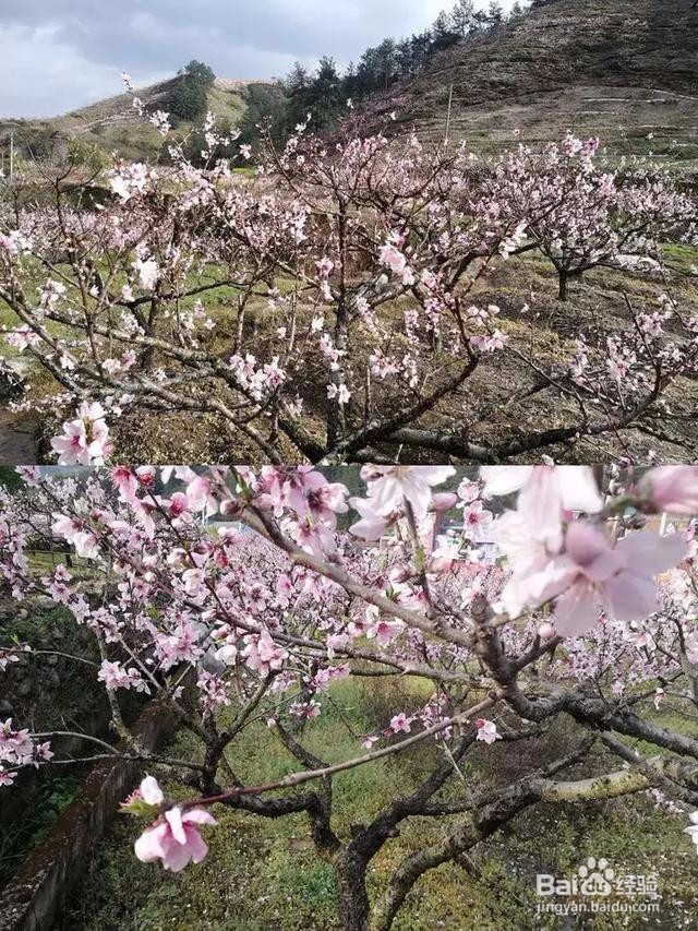 义乌上溪旅游攻略