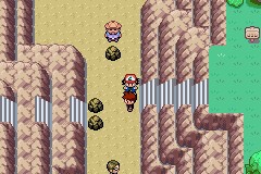 口袋妖怪圣灰攻略图片5