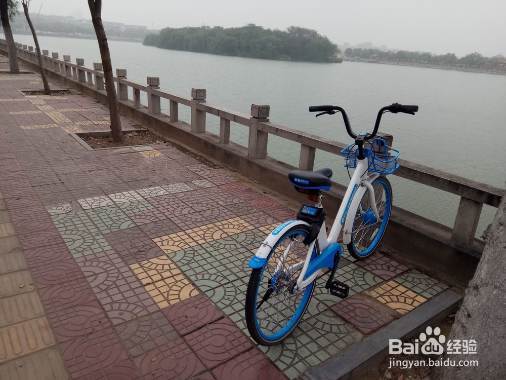 骑共享单车要知道的那些事