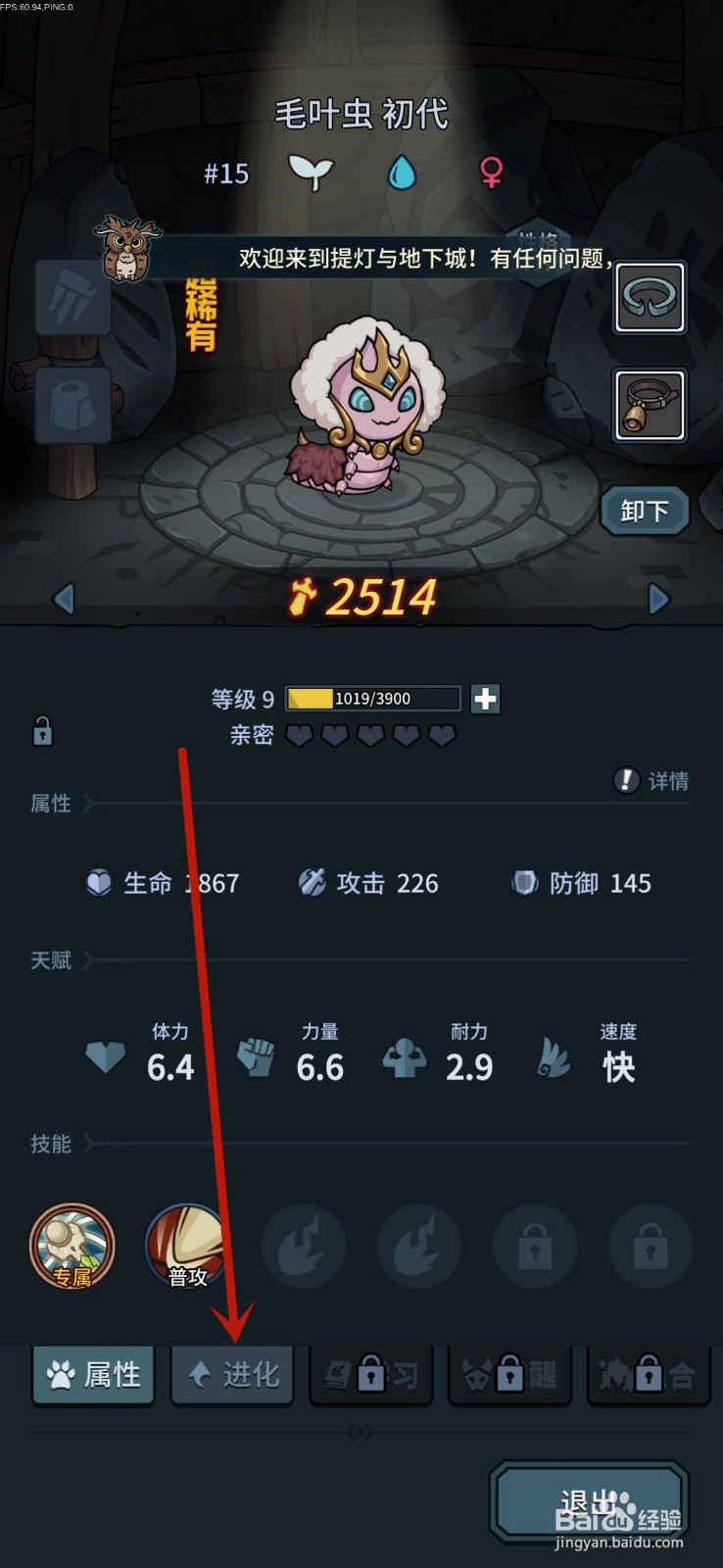 提灯与地下城怎么进化宠物