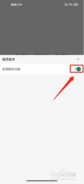 www浏览器app如何启用脚本功能