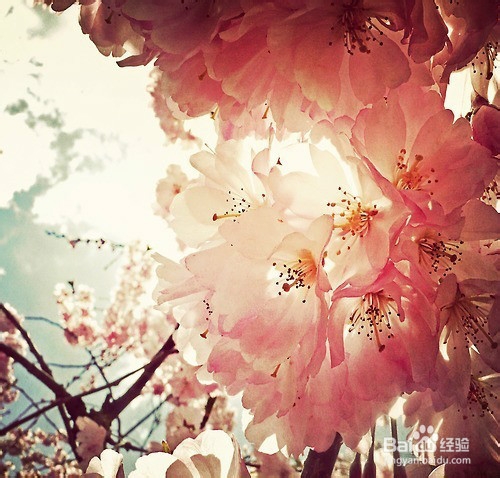 如何防止晕车，晕车小妙招