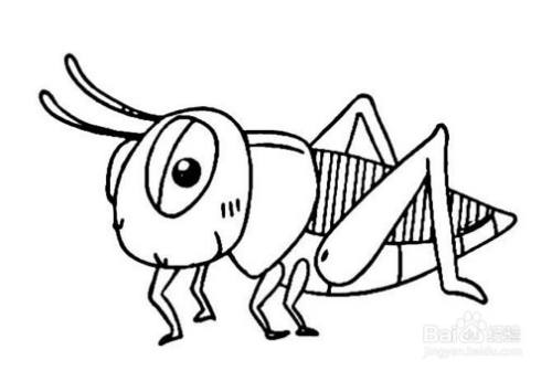 卡通蚱蜢的简笔画