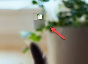 Excel表格如何使用筛选功能