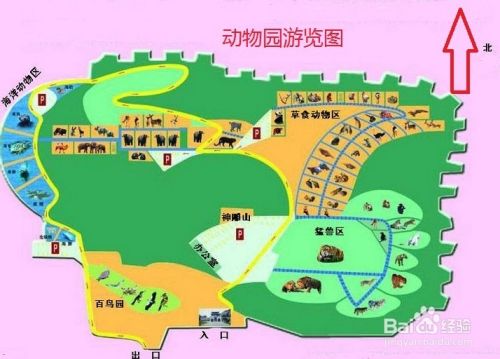 十一短途威海荣成西霞口野生动物园一日游