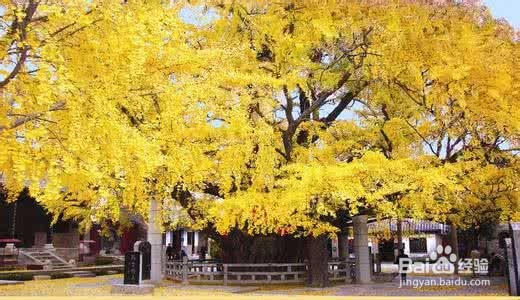 如何制作 PPT 的文字风格显得高大上