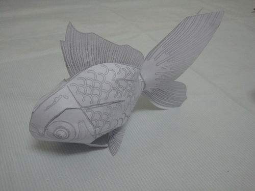 怎样制作3d纸模金鱼 百度经验