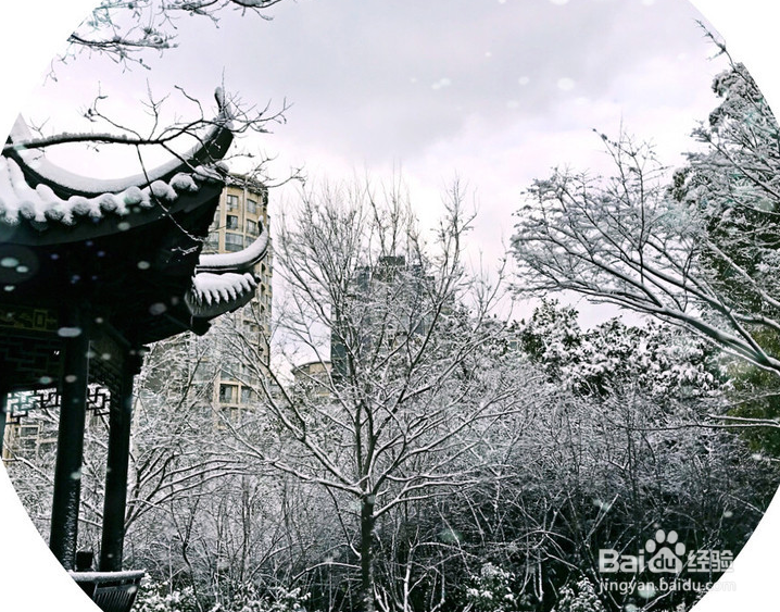 冬天来了出外旅游上海一走看初雪公园雪景真美