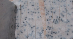 炸麻叶制作步骤