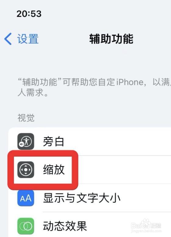 在哪调整苹果缩放控制器不透明度