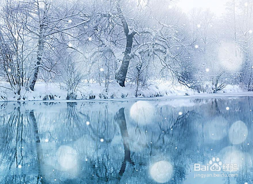 用计算机为图片自动着色